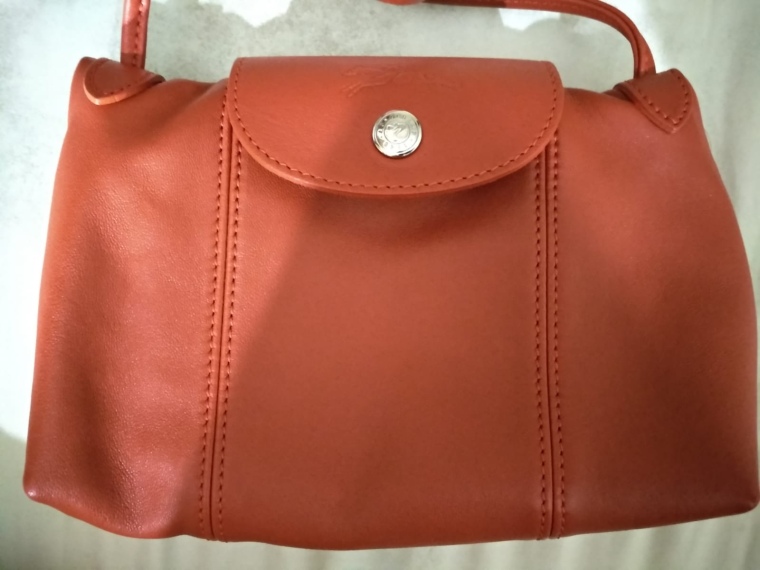 Longchamp Cuir Review and What's in My Bag 